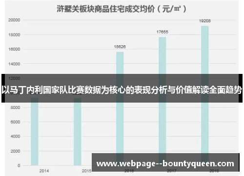 以马丁内利国家队比赛数据为核心的表现分析与价值解读全面趋势